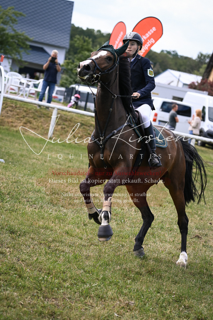 DSC_0612 | Pferde- und Turnierfotografie in Westsachsen. Pferdeportraits, Auftragszeichnungen und intuitive Kunst.