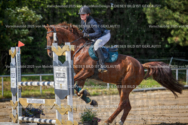 HIM_1418 | “Moin Moin Design – Kreatives Grafikdesign aus Norddeutschland! Wir gestalten individuelle Logos, Flyer, Plakate und Webdesign mit Leidenschaft und Präzision. Jetzt inspirieren lassen!”