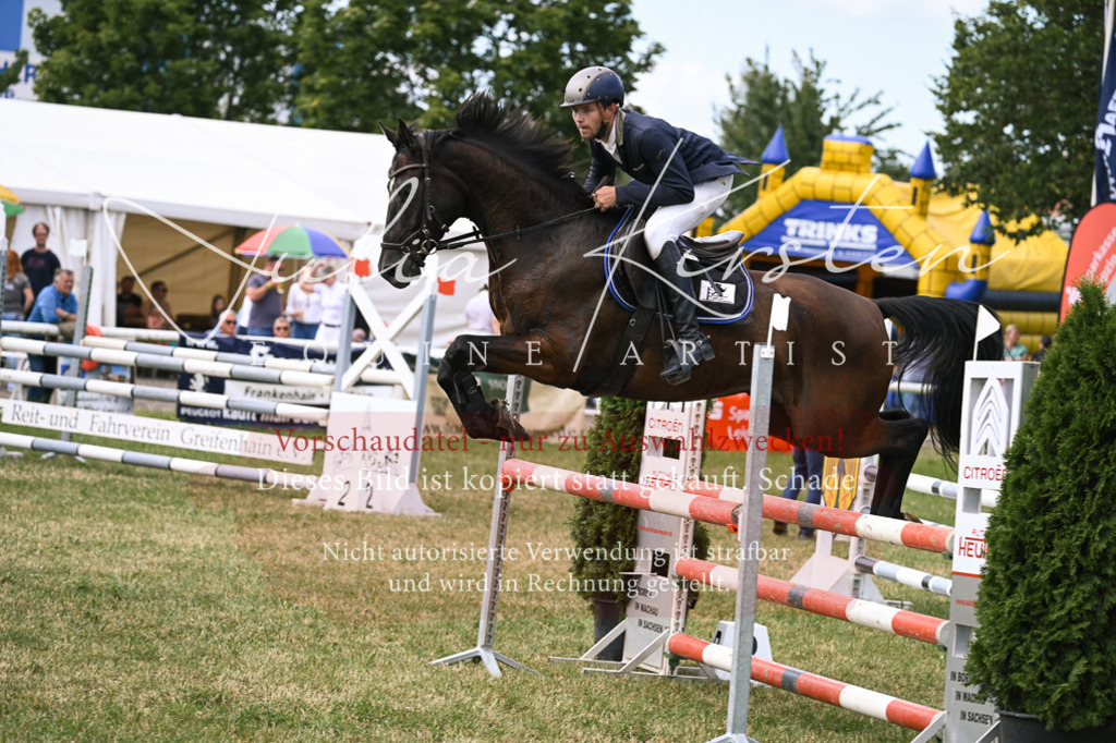DSC_0633 | Pferde- und Turnierfotografie in Westsachsen. Pferdeportraits, Auftragszeichnungen und intuitive Kunst.