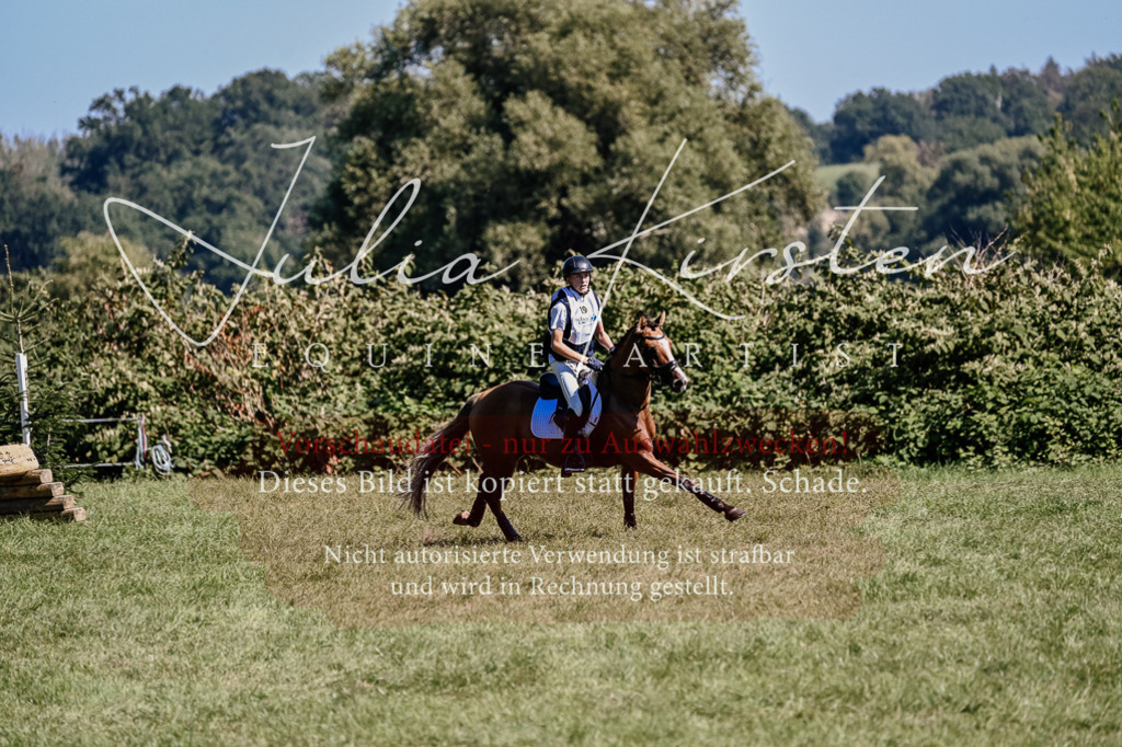 DSC_2104 | Pferde- und Turnierfotografie in Westsachsen. Pferdeportraits, Auftragszeichnungen und intuitive Kunst.