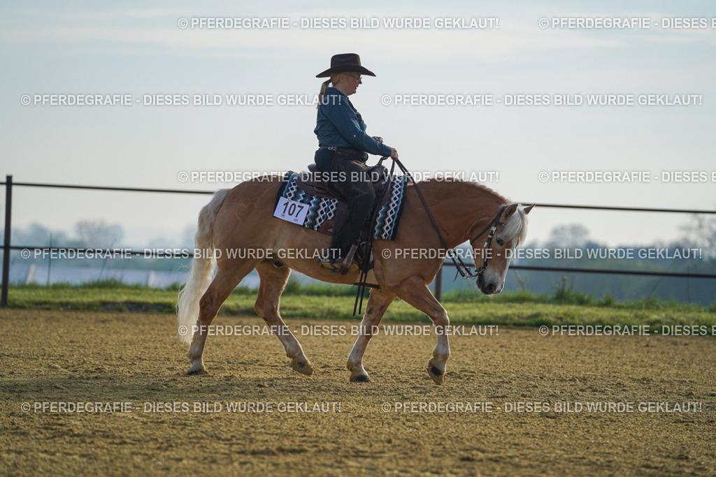 DSC00347 | Pferdegrafie