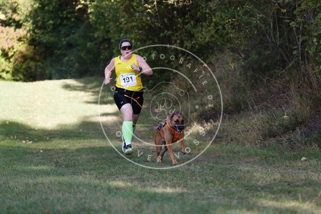 0L8A5502 | Hundefotografie, Tierfotograf, Pfotenfotografie, Fotoshooting Hund, Hunde Portrait, Hundesport, Hundeportraits, Heideshooting, Hunde, Sportfotograf, Hundefotograf, Turnierhundsport, THS,  - Realisiert mit Pictrs.com