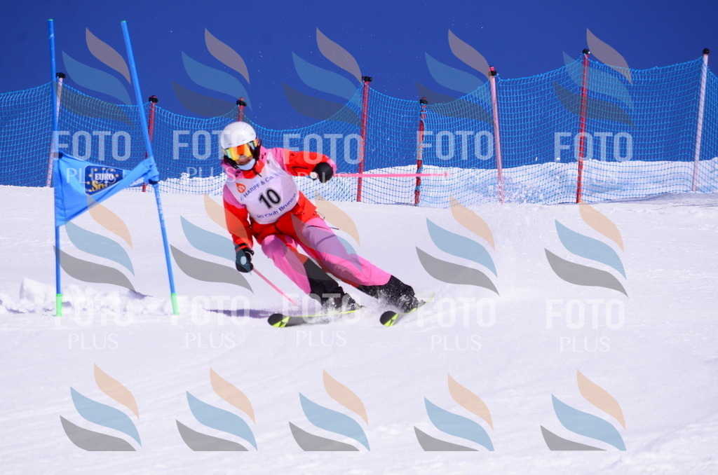 DAV_4733 | holidayphoto