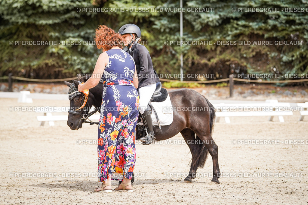 DSC02863 | Pferdegrafie