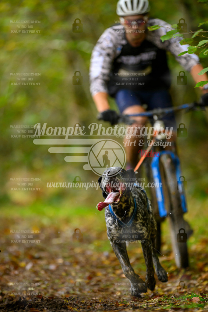 MompixPhotography_20TSB_E1_Bike-63 | PayLife