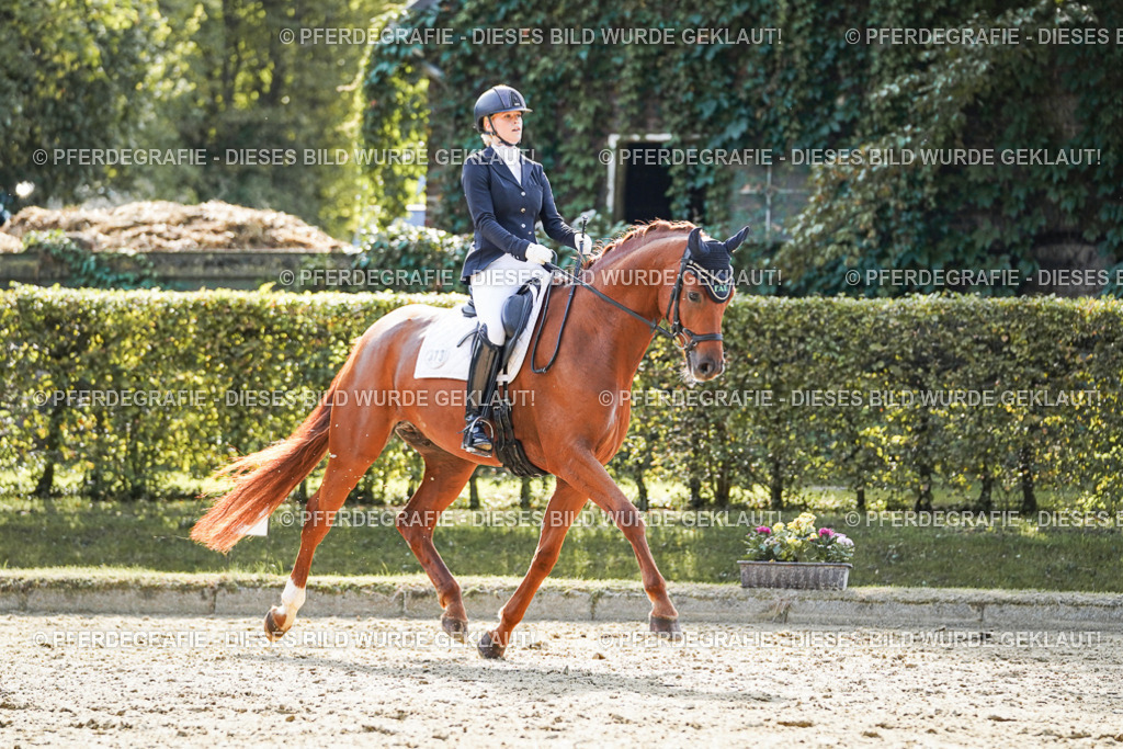 DSC07359 | Pferdegrafie