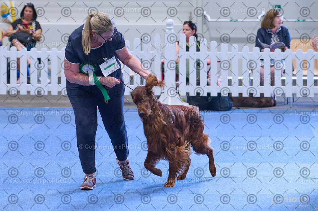 202406_ÖKV-IHA-Tulln24_DSC_4138 | proPHOTO - Realisiert mit Pictrs.com