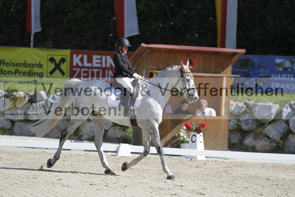 _MG_6561 | equestrian-live-com