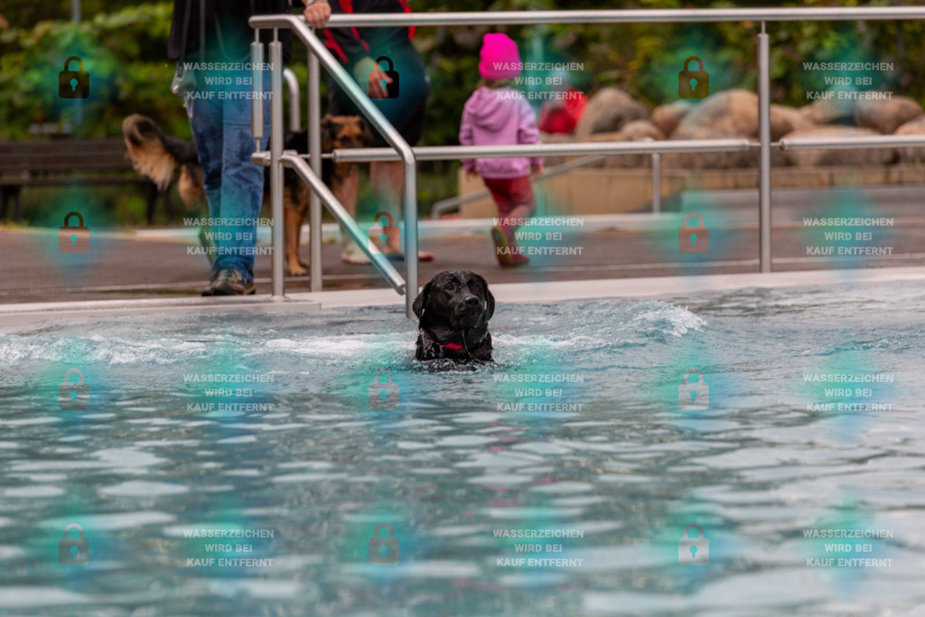 _HP_6298_1000o | HetPix, HetPix Fotodesign, Fotografie, Fotodesign, Webshop, Sportfotografie, Portraitfotografie, Onlineshop, Sportfotografie, Polch, Motorsportfotografie, Eventfotografie