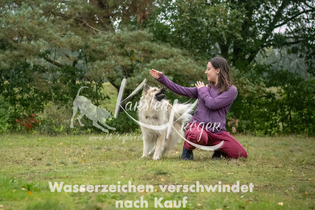 1113_ZZ93830-Bearbeitet | kk-dogfotos