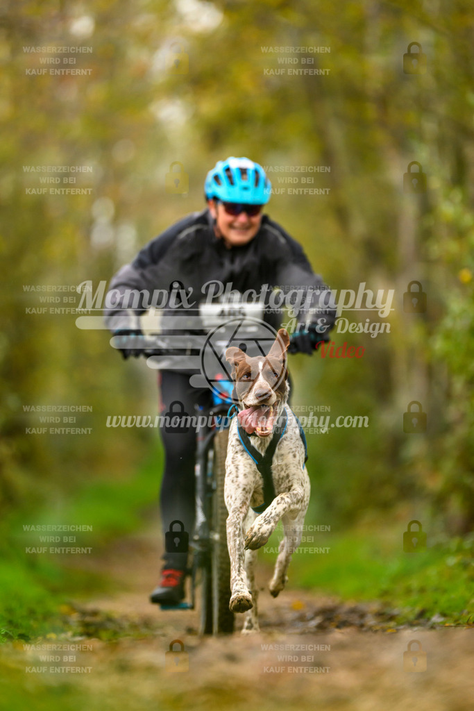 MompixPhotography_20TSB_E6_Bike-164 | PayLife