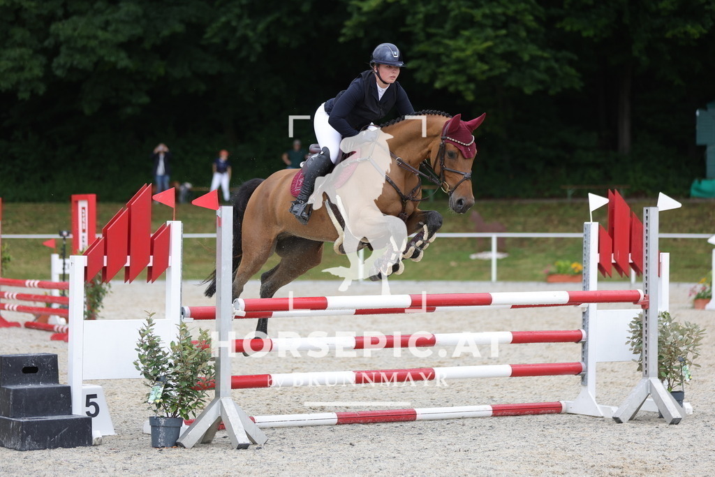 0P6A3087 | Willkommen bei Brunnmayr - Design & Fotografie – Ihrem Spezialisten für Reitturniere und Pferdeveranstaltungen in Oberösterreich, Salzburg und Bayern! Seit über 17 Jahren sind wir leidenschaftlich dabei.