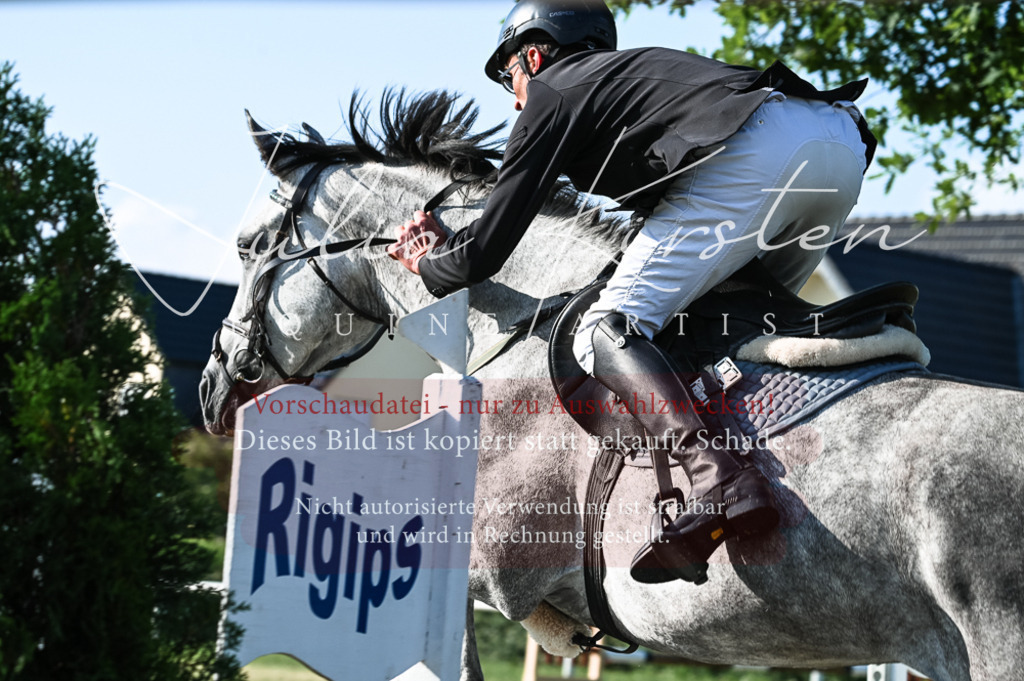 DSC_7506 | Pferde- und Turnierfotografie in Westsachsen. Pferdeportraits, Auftragszeichnungen und intuitive Kunst.