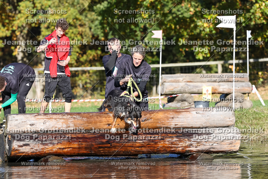 Dog Paparazzi - Strongdog 10-25-8947 | Dog Paparazzi Jeanette Grottendiek Fotografie & Videografie - Realisiert mit Pictrs.com