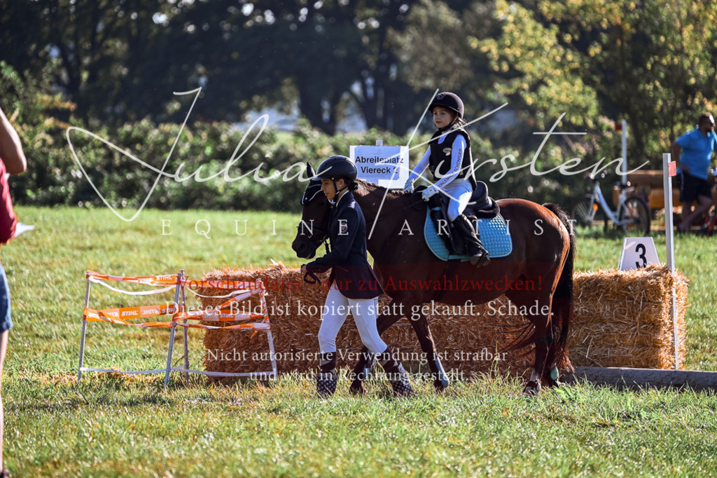 DSC_0290 | Pferde- und Turnierfotografie in Westsachsen. Pferdeportraits, Auftragszeichnungen und intuitive Kunst.