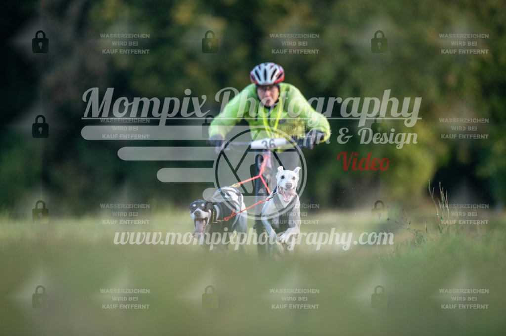 CDLBDB_15_10_2023_Dimanche-67 | PayLife