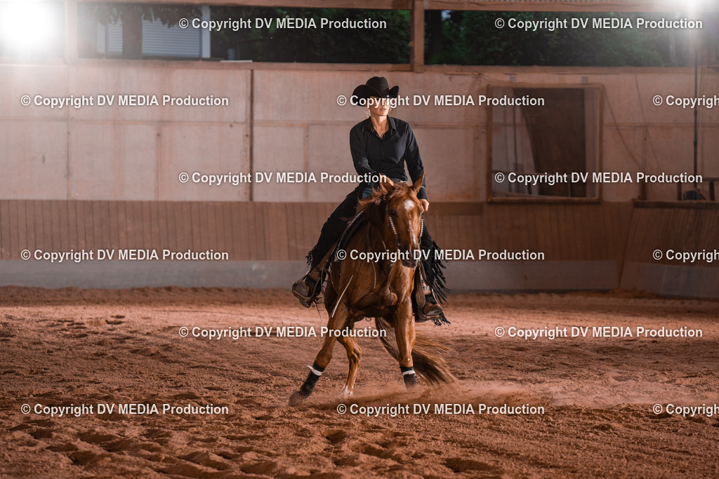 NE201474 | dv-media-shop - Realisiert mit Pictrs.com