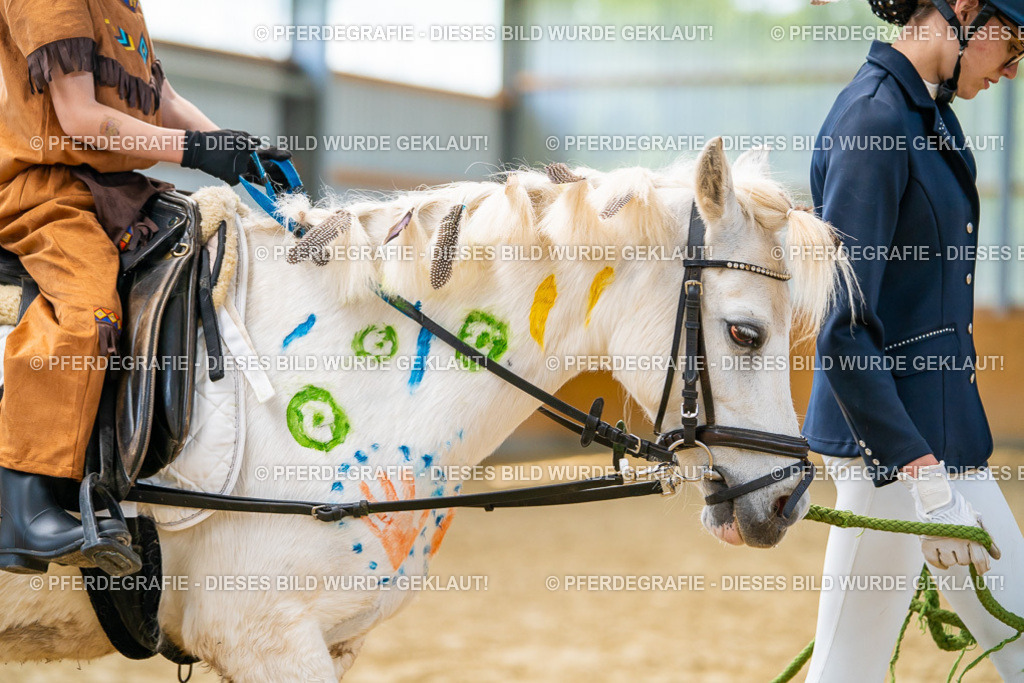 DSC00164 | Pferdegrafie