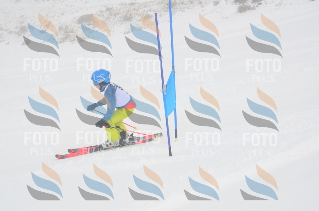 A5439 | holidayphoto