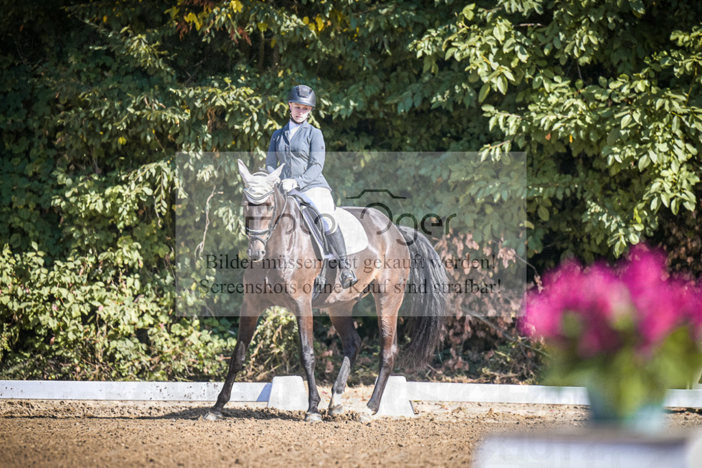 DOS_2387 | Entdecke hochwertige Reitturnierfotos von Foto Oger. Professionell, emotional und authentisch – jetzt Lieblingsmomente im Shop bestellen.Deutschlandweite Turnierfotografie. - Realisiert mit Pictrs.com