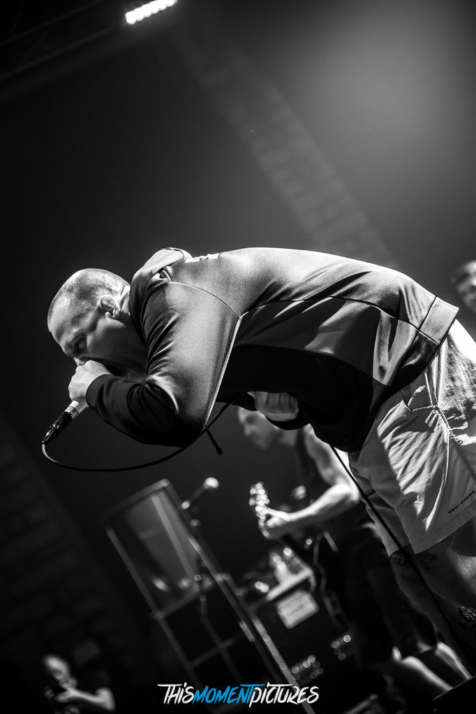 Terror_3477 | thismomentpictures - Realisiert mit Pictrs.com