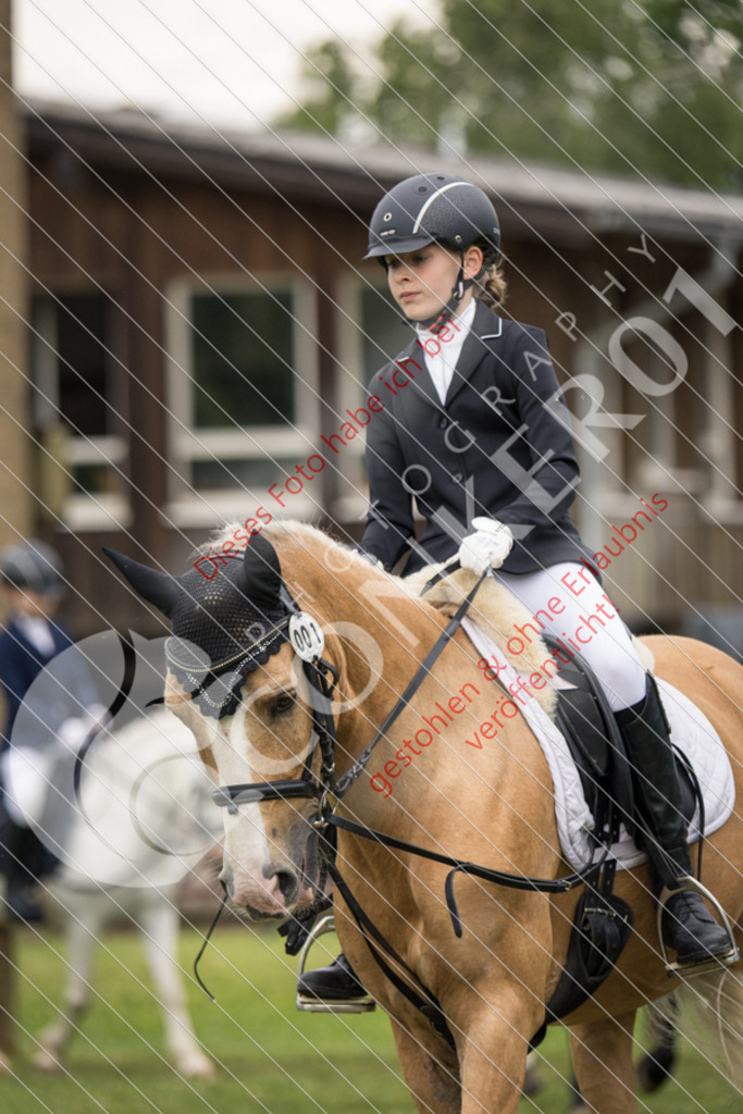 IMG_1753 | Sport-, Event- und Tierfotos in Profiqualität. Einfach auswählen, bestellen und herunterladen. Dein Moment – perfekt festgehalten.