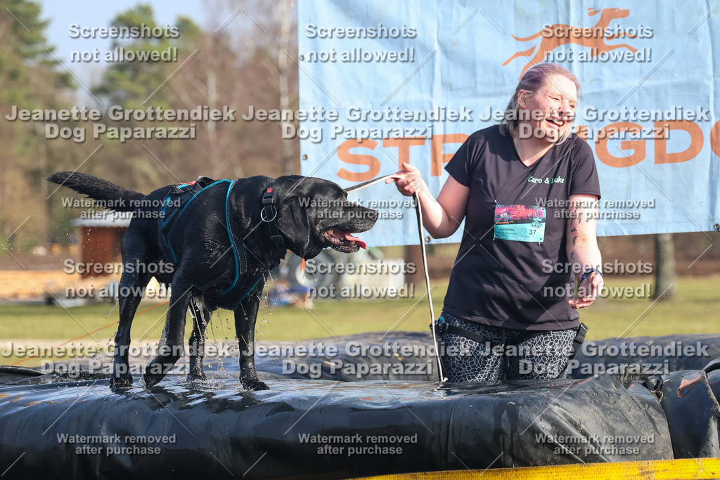 Dog Paparazzi - Strongdog North Mrz26-2502 | Dog Paparazzi Jeanette Grottendiek Fotografie & Videografie - Realisiert mit Pictrs.com