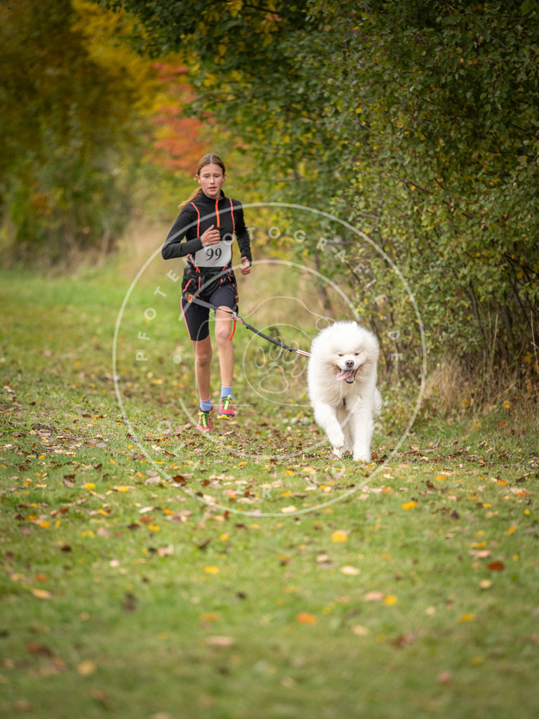 Pfotenfotografie_DV3A3403 | Hundefotografie, Tierfotograf, Pfotenfotografie, Fotoshooting Hund, Hunde Portrait, Hundesport, Hundeportraits, Heideshooting, Hunde, Sportfotograf, Hundefotograf, Turnierhundsport, THS,  - Realisiert mit Pictrs.com
