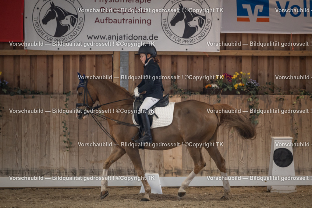 _D5A5770 | Emotionale Pferde- & People-Fotografie rund um Heidelberg, Leimen & Umgebung. Natürliche Fotos von Pferd, Mensch & Familie. Jetzt Termin sichern!