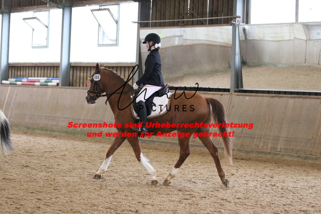 IMG_4566 | lmwpictures - Realisiert mit Pictrs.com