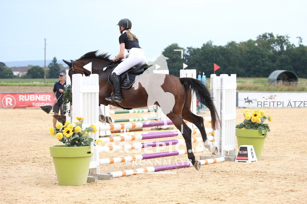 DL2Q3622 | Willkommen bei Brunnmayr - Design & Fotografie – Ihrem Spezialisten für Reitturniere und Pferdeveranstaltungen in Oberösterreich, Salzburg und Bayern! Seit über 17 Jahren sind wir leidenschaftlich dabei.