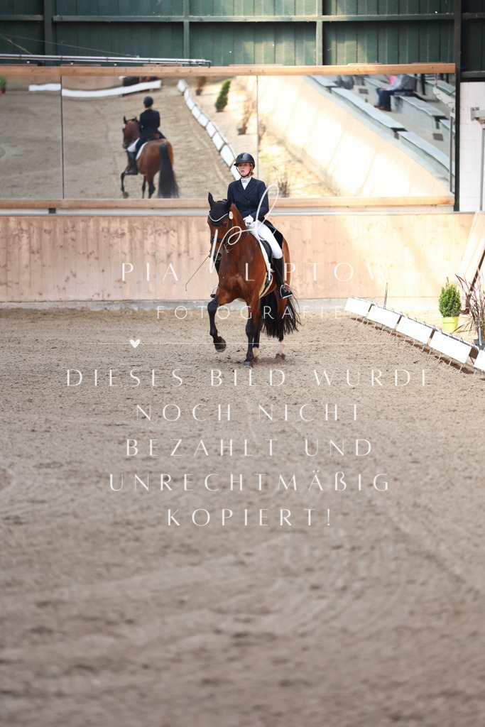 IMGM4013 | pl-fotografie