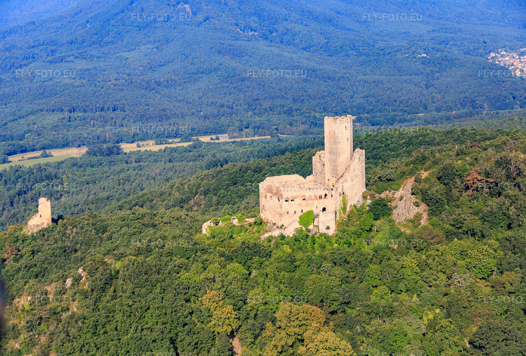 Vue aérienne: Château de l'Ortenbourg et Château du Ramstein à Scherwiller dans le département Bas Rhin, France – .Photo: IMG_093276.jpg prise le 16/08/2016 par Werner Riehm/FLY-FOTO.eu – Résolution de l'original: 5392 x 3648 px – Commune de Scherwiller - Bas-Rhin – Château de l'Ortenbourg - Visitgrandest