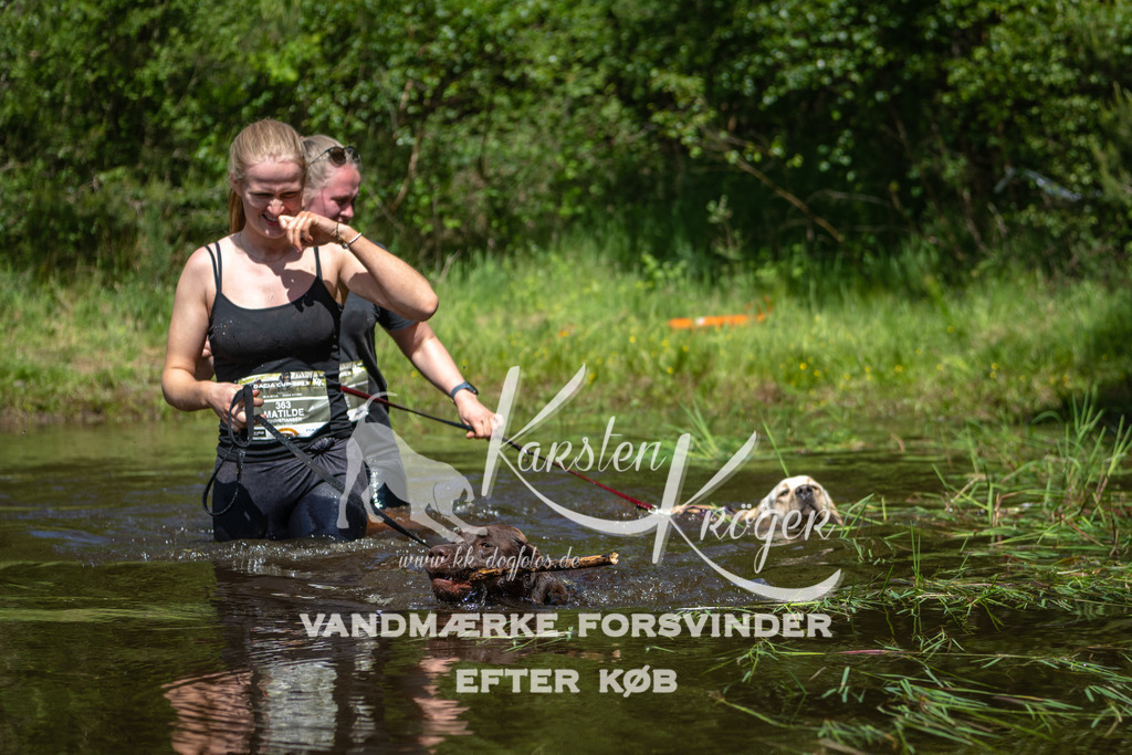 1154DKK991382 | kk-dogfotos