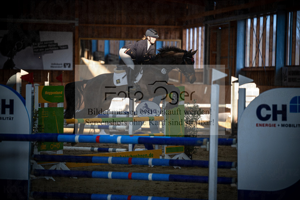 DOS_0772 | Entdecke hochwertige Reitturnierfotos von Foto Oger. Professionell, emotional und authentisch – jetzt Lieblingsmomente im Shop bestellen.Deutschlandweite Turnierfotografie. - Realisiert mit Pictrs.com