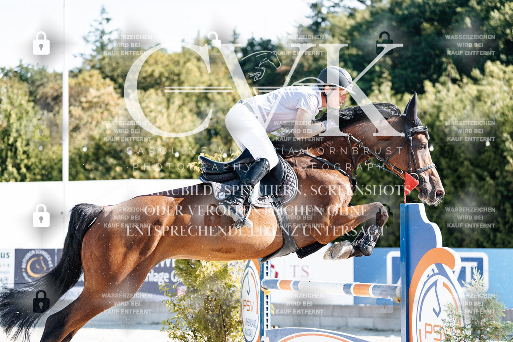 CK904900 | Turnierfotografie Pferdefotografie Trier Rheinland-Pfalz Pferdesport Reitsport Tierfotografie Sportfotografie Pferdevideo Pferdevideografie Equestrianvideography equestrianphotography  - Realisiert mit Pictrs.com