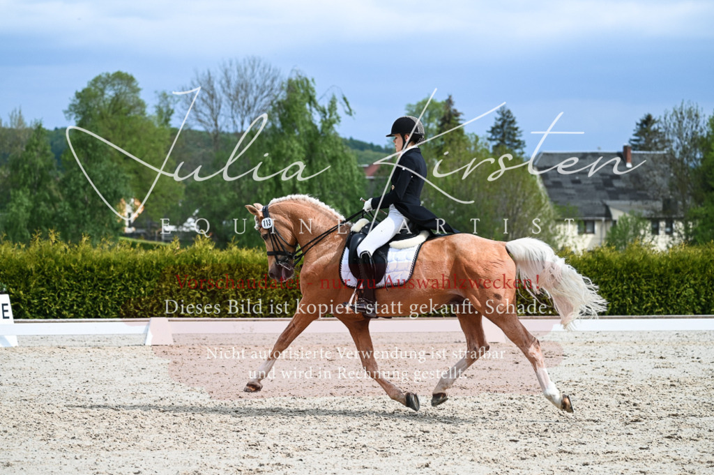 20230513_JK-Röhrsdorf-12-309 | Pferde- und Turnierfotografie in Westsachsen. Pferdeportraits, Auftragszeichnungen und intuitive Kunst.