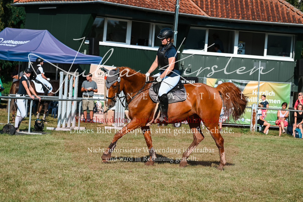 DSC_5086 | Pferde- und Turnierfotografie in Westsachsen. Pferdeportraits, Auftragszeichnungen und intuitive Kunst.