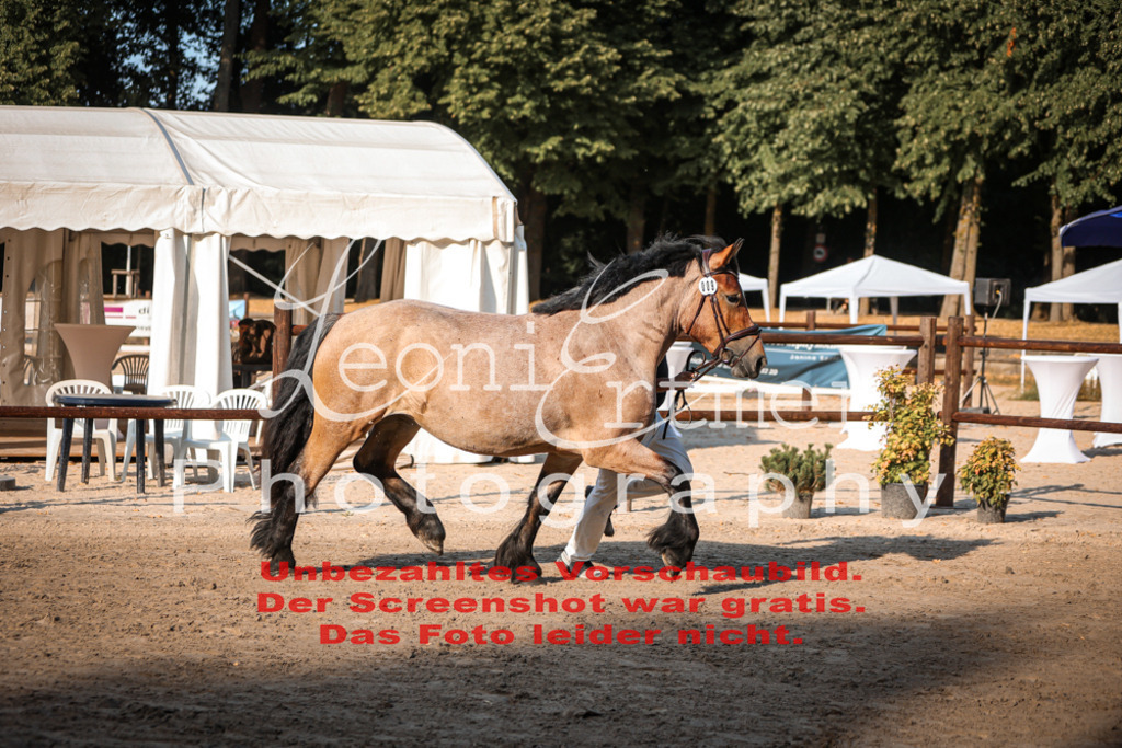 Fr3K00063 | Leoni Ertmer Photography - Realisiert mit Pictrs.com