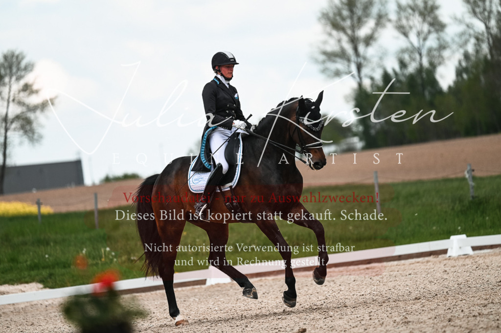 20230514_JK-Röhrsdorf-21-267 | Pferde- und Turnierfotografie in Westsachsen. Pferdeportraits, Auftragszeichnungen und intuitive Kunst.