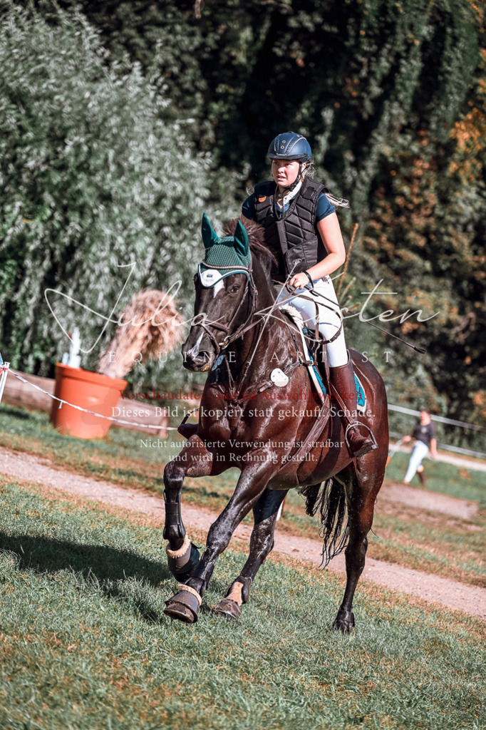 DSC_0915 | Pferde- und Turnierfotografie in Westsachsen. Pferdeportraits, Auftragszeichnungen und intuitive Kunst.