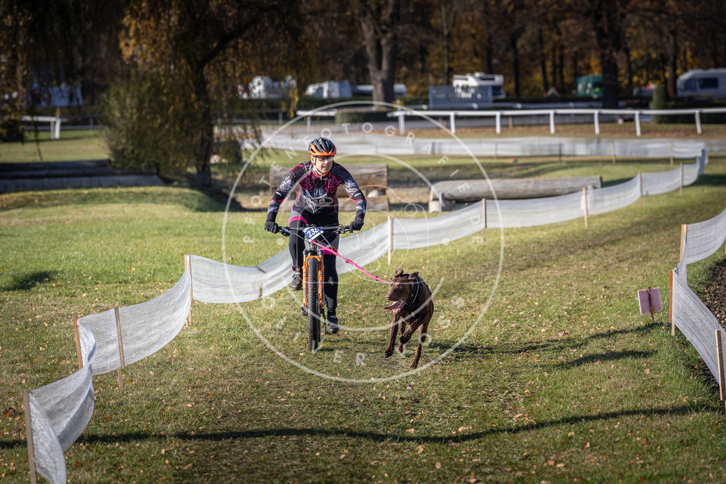 CaniXpix_DV3A4126 | Hundefotografie, Tierfotograf, Pfotenfotografie, Fotoshooting Hund, Hunde Portrait, Hundesport, Hundeportraits, Heideshooting, Hunde, Sportfotograf, Hundefotograf, Turnierhundsport, THS,  - Realisiert mit Pictrs.com