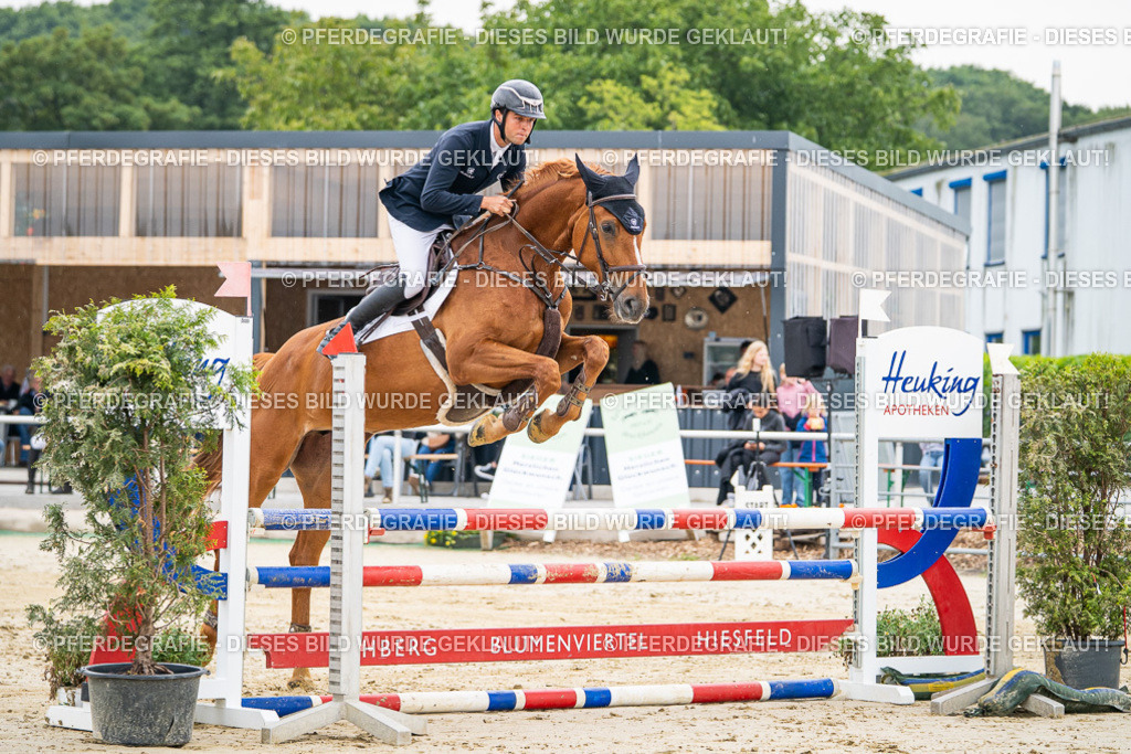 DSC09516 | Pferdegrafie