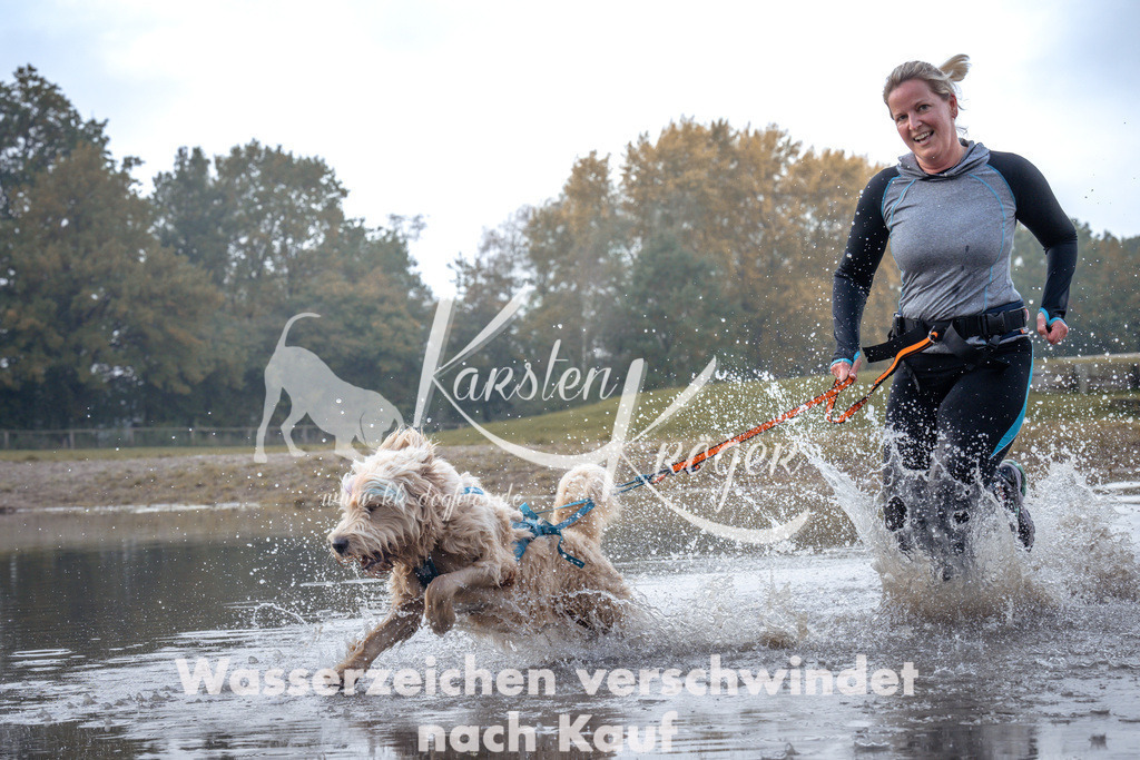 1128_ZZ94860 | kk-dogfotos