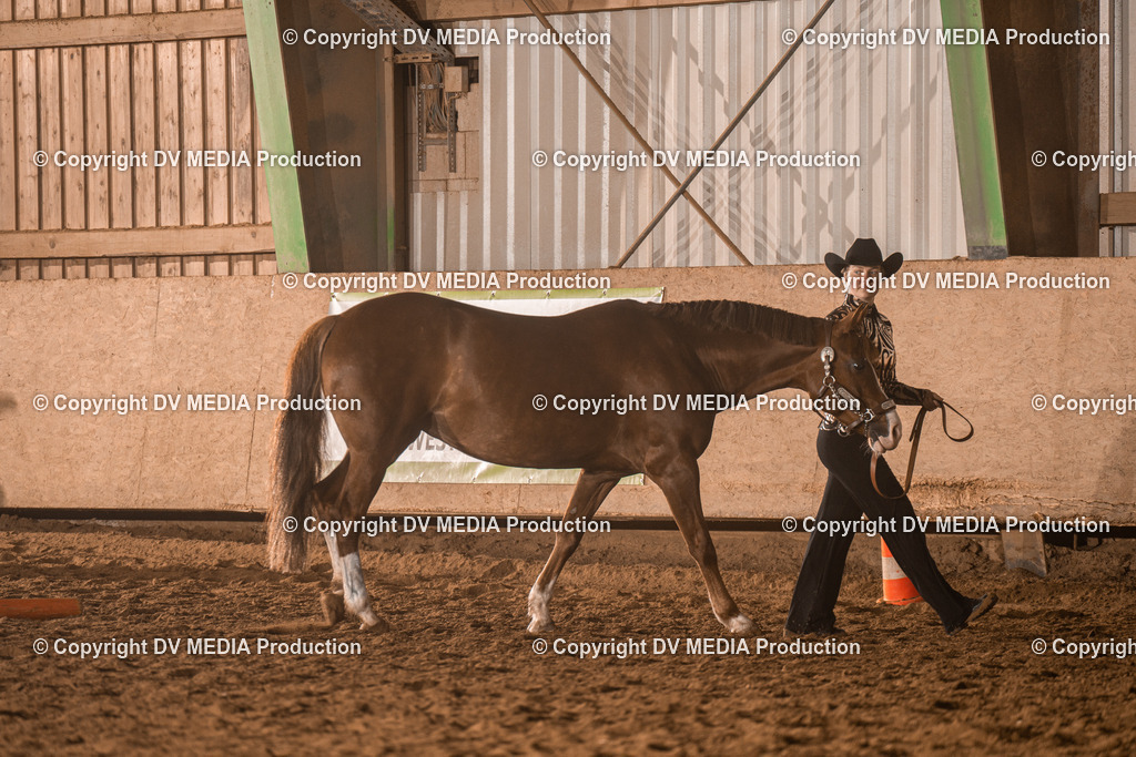 BAL01202 | dv-media-shop - Realisiert mit Pictrs.com