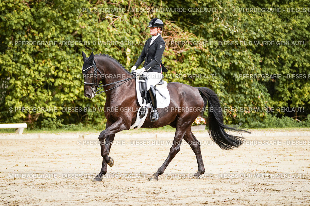 DSC02132 | Pferdegrafie