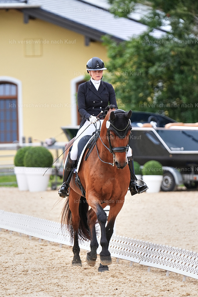 11-189-Dressur S___-Marixx-1772 | working equitationturnier fotograf videograf stoibphotography marixx film working equitation deutschland reitsport turnierfotografie eventfotografie equestrian events