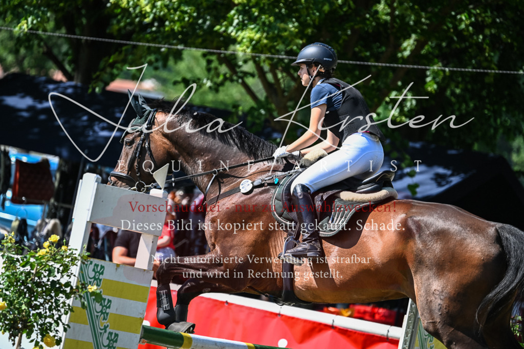 DSC_1594 | Pferde- und Turnierfotografie in Westsachsen. Pferdeportraits, Auftragszeichnungen und intuitive Kunst.