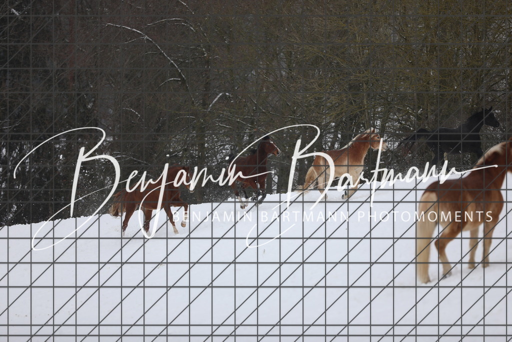 AZ2A3347 | Benjamin Bartmann Photomoments