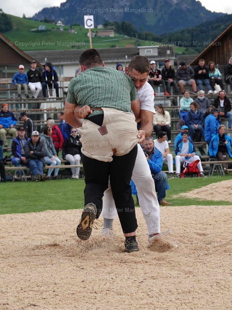 DSC05490 | Schwingen - Realisiert mit Pictrs.com
